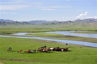 Khustai Park mit Wildpferden